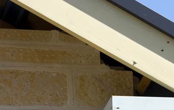 soffit repair Cronton